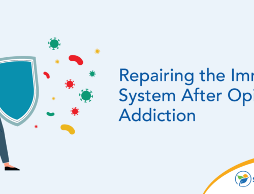 Repairing the Immune System After Opiate Addiction