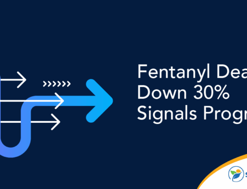 Fentanyl Deaths Down 30% Signals Progress