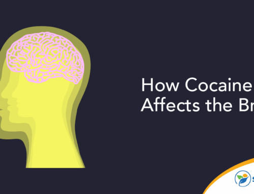 How Cocaine Affects the Brain