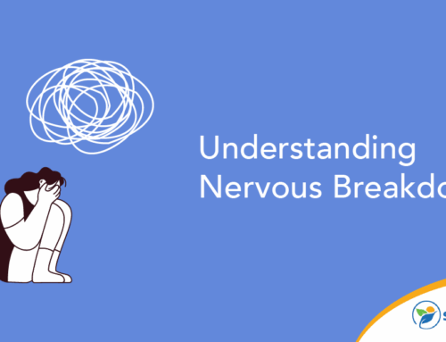 Understanding Nervous Breakdowns