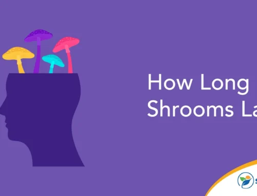 How Long Do Shrooms Last?